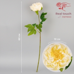 Искусственный пион с эффектом живого прикосновения, кремовый, 60 см (2025-007)
