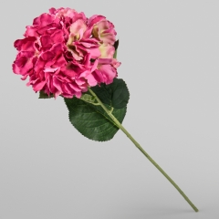 Гортензія фуксія, 74 см (018FS-PL)