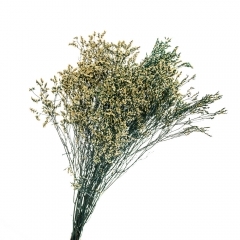 Кермек Желтый, стабилизированный (8213-057)