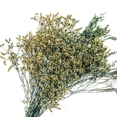 Кермек Желтый, стабилизированный (8213-057)