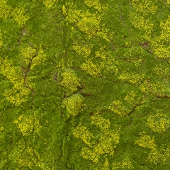 Декоративная панель из искусственного мха, 100*100 см (9224-014)