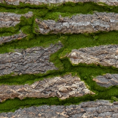 Декоративная панель из искусственного мха и коры, 100*100 см (9224-016)