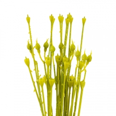 Флористическая основа "Стебель", 62 см (19232-003)