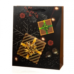 Подарунковий пакет "Celebration" 26 * 10 * 32 (8817-004)