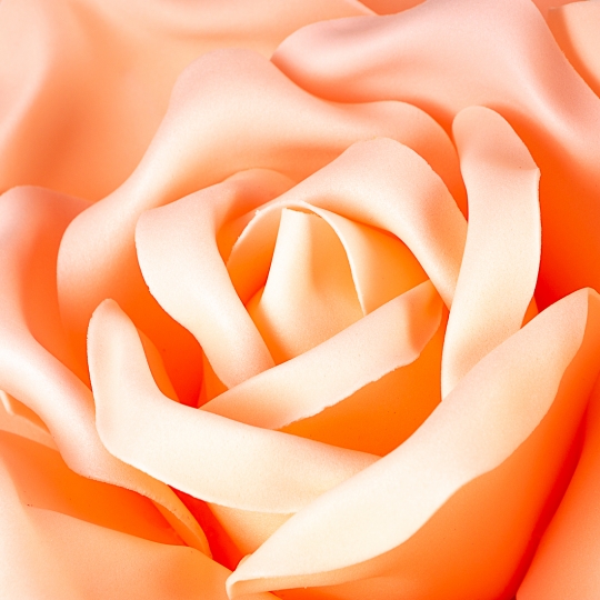 Квітка для фотозони персикова (середній) (0385JA-В)