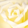 Квітка для фотозони біла (середня) (0383JA-В)