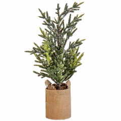 Декоративная ель "Зимний сад" (6019-007)