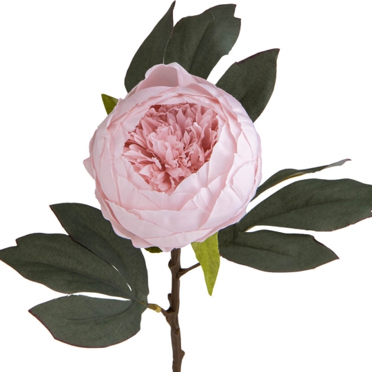 Півонія рожева, 66 см (8950-004)