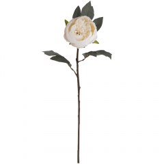 Веточка пионов, кремовая, 66 см (8950-006)