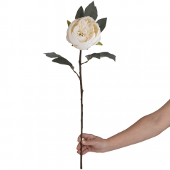 Веточка пионов, кремовая, 66 см (8950-006)