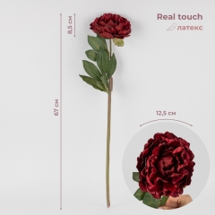 Штучна півонія з ефектом живого дотику, бордова, 67 см (2019-021)