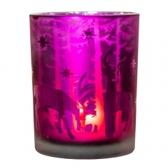 Подсвечник "Северное чудо", 10 см (6017-183)