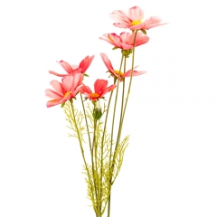 Космея (90 см) (011FO)