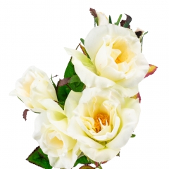 Камелия (75 см) (025F/cream)
