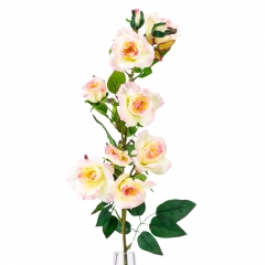 Камелия (75 см) (025F/cream-pink)