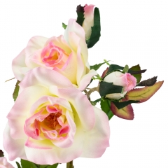 Камелия (75 см) (025F/cream-pink)