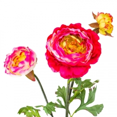 Ранункулюс (73 см) (091F/red)