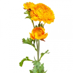 Ранункулюс (73 см) (091F/yellow)