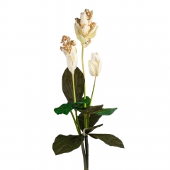 Мединилла (120 см) (092F/white)