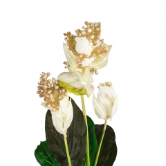 Мединилла (120 см) (092F/white)