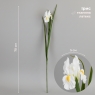Штучний ірис, білий, 70 см (2028-017/white)