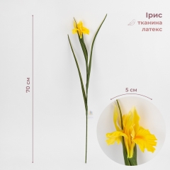 Штучний ірис, жовтий, 70 см (2028-017/yellow)