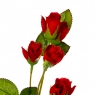 Гілочка троянди (8717-031)