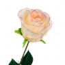 Троянда, біло-рожева 69 см (8717-032)