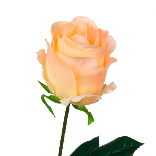 Троянда, рожева, 69 см (8717-033)