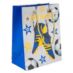 Подарочный пакет "Спортивный дух", 18*23 см * Рандомный выбор дизайна (9208-006)