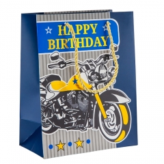 Подарочный пакет "Спортивный дух", 18*23 см * Рандомный выбор дизайна (9208-006)