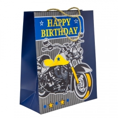 Подарочный пакет "Спортивный дух", 26*32 см * Рандомный выбор дизайна (9208-007)