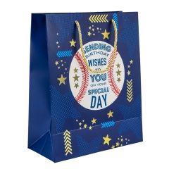 Подарочный пакет "Спортивный дух", 26*32 см * Рандомный выбор дизайна (9208-007)