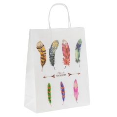 Подарочный пакет "Магия пера", 24,5*31 см * Рандомный выбор дизайна (9215-004)