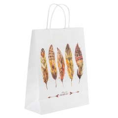 Подарочный пакет "Магия пера", 24,5*31 см * Рандомный выбор дизайна (9215-004)