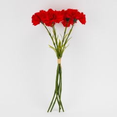 Букет гвоздик, 5 бутонов, красный, 55 см (2026-020/red)