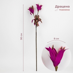 Драцена штучна, фіолетова, 90 см (2028-003/red-green)