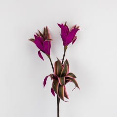 Драцена штучна, фіолетова, 90 см (2028-003/red-green)