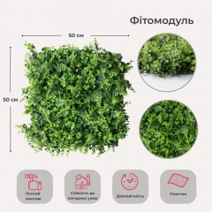 Фітомодуль штучний "Самшит та папороть", 50*50 см (19295-015)