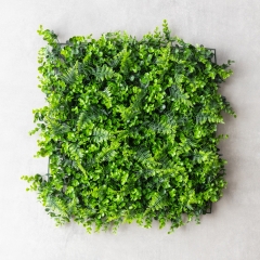 Фітомодуль штучний "Самшит та папороть", 50*50 см (19295-015)