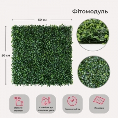 Фітомодуль штучний "Самшит", 50*50 см (19295-016)