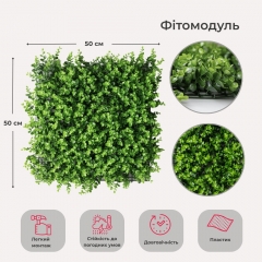 Фітомодуль штучний "Самшит", 50*50 см (19295-018)