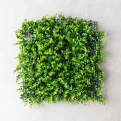 Фітомодуль штучний "Самшит", 50*50 см (19295-018)