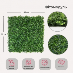 Фітомодуль штучний "Самшит", 50*50 см (19295-019)