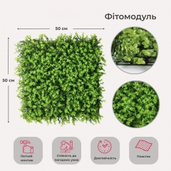 Фітомодуль штучний "Самшит", 50*50 см (19295-020)