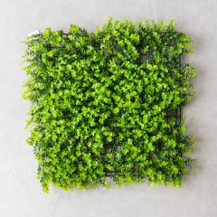 Фітомодуль штучний "Самшит", 50*50 см (19295-020)