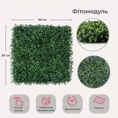 Фітомодуль штучний "Самшит", 50*50 см (19295-023)