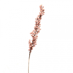 Кизильник Корал Бьюти, розовый 1 м (5000-004/PINK)