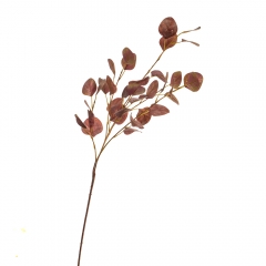 Ветка "Терракотовый эвкалипт" (8100-024)