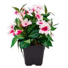 Фіалка, 28 см (4735K76)